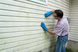 Best Vinyl Siding Installation  in Ben Wheeler, TX